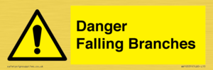 Danger Falling Branches